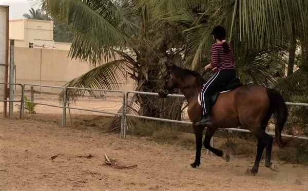 Dhofar Waves Equestrian Club in Oman, Middle East | Horseback Riding - Rated 0.8