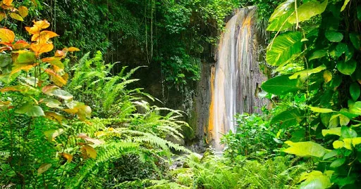 Diamond Botanical Gardens in Saint Lucia, Caribbean | Waterfalls,Botanical Gardens,Gardens - Rated 3.6