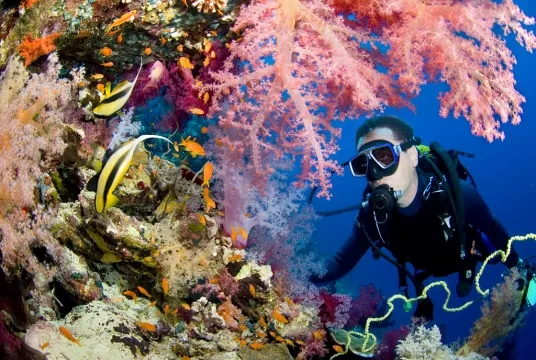 BLUE DIVE Menorca in Spain, Europe | Scuba Diving - Rated 4.1