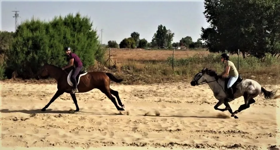 Donana Horse Adventure in Spain, Europe | Horseback Riding - Rated 1.1