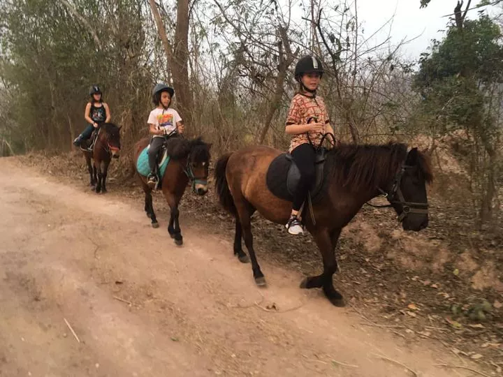 Dong Markkhai Horse Riding Club in Laos, East Asia | Horseback Riding - Rated 0.9