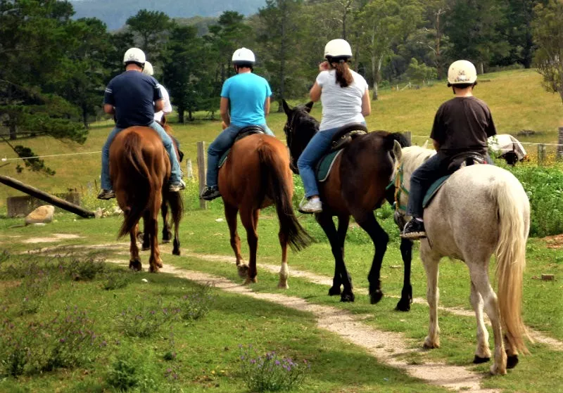 Dora Horse Ranch in Hungary, Europe | Horseback Riding - Rated 0.9