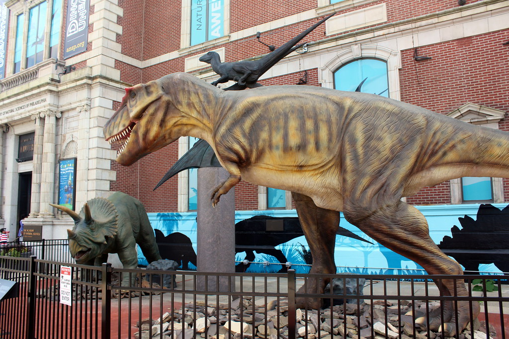 Drexel University Academy of Natural Sciences in USA, North America | Museums - Rated 3.8
