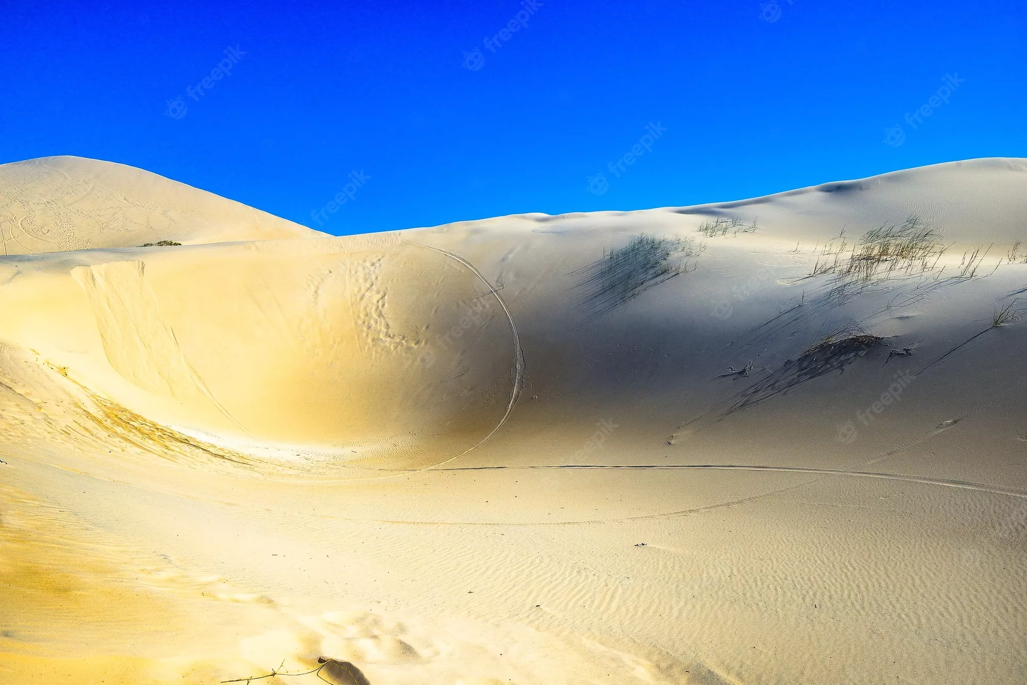 Dunes of Joaquina in Brazil, South America | Deserts,Parks - Rated 4.5