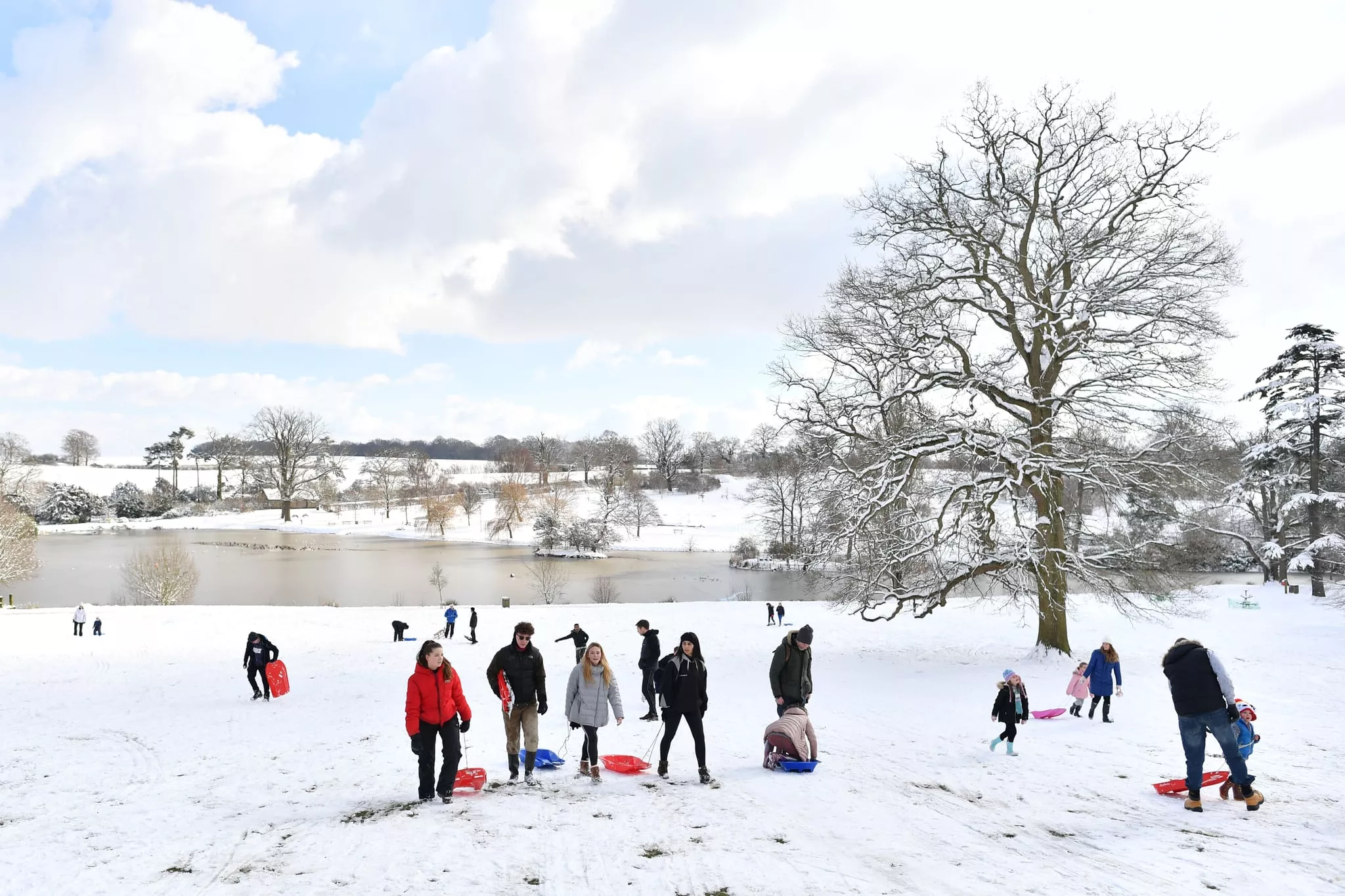 Dunorlan Park in United Kingdom, Europe | Sledding - Rated 4.3