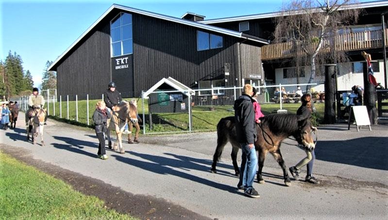 EKT Riding school and visitors' farm AS in Norway, Europe | Horseback Riding - Rated 1.1