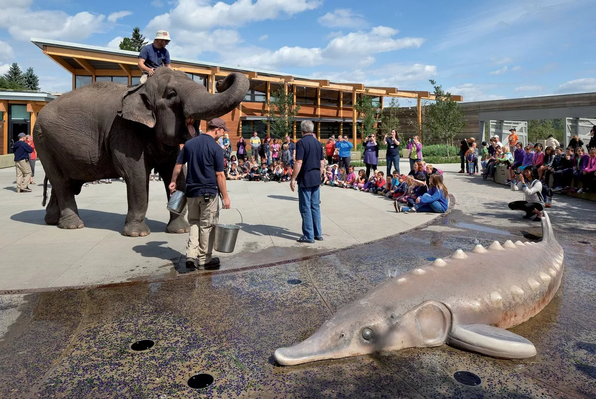 Edmonton Valley Zoo in Canada, North America | Zoos & Sanctuaries - Rated 3.6