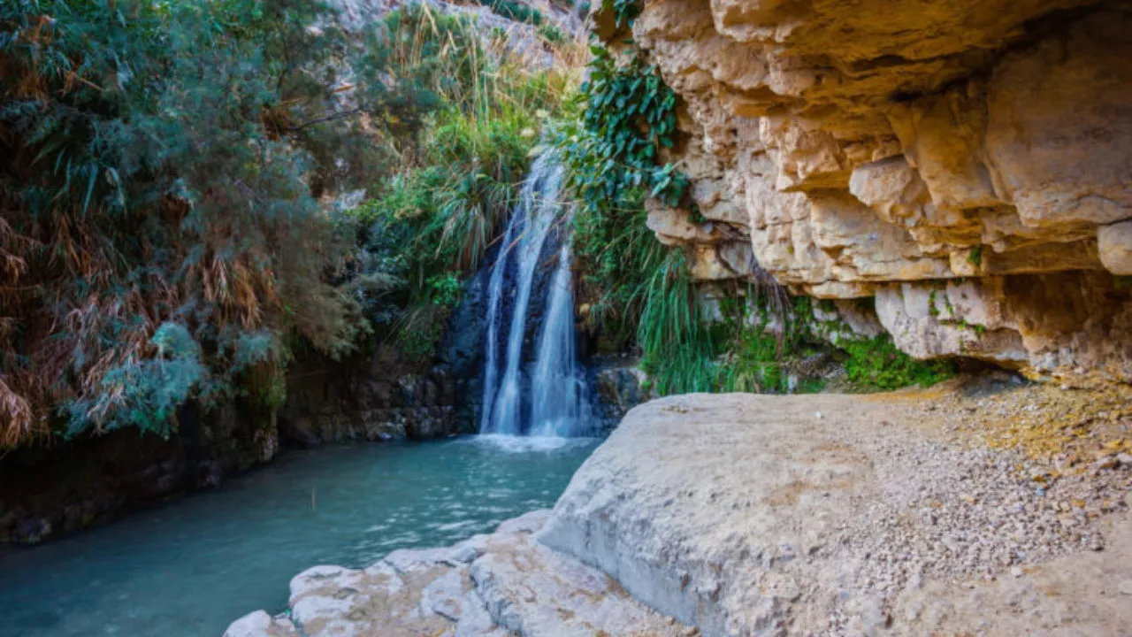 Ein Gedi in Israel, Middle East | Nature Reserves,Oases - Rated 9.8
