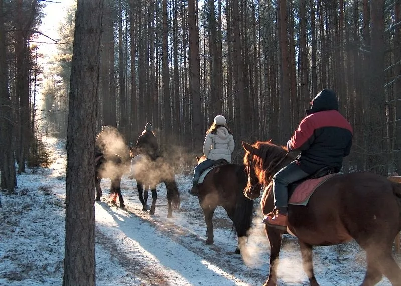 Ekvi, Zirgu stallis in Latvia, Europe | Horseback Riding - Rated 1.1