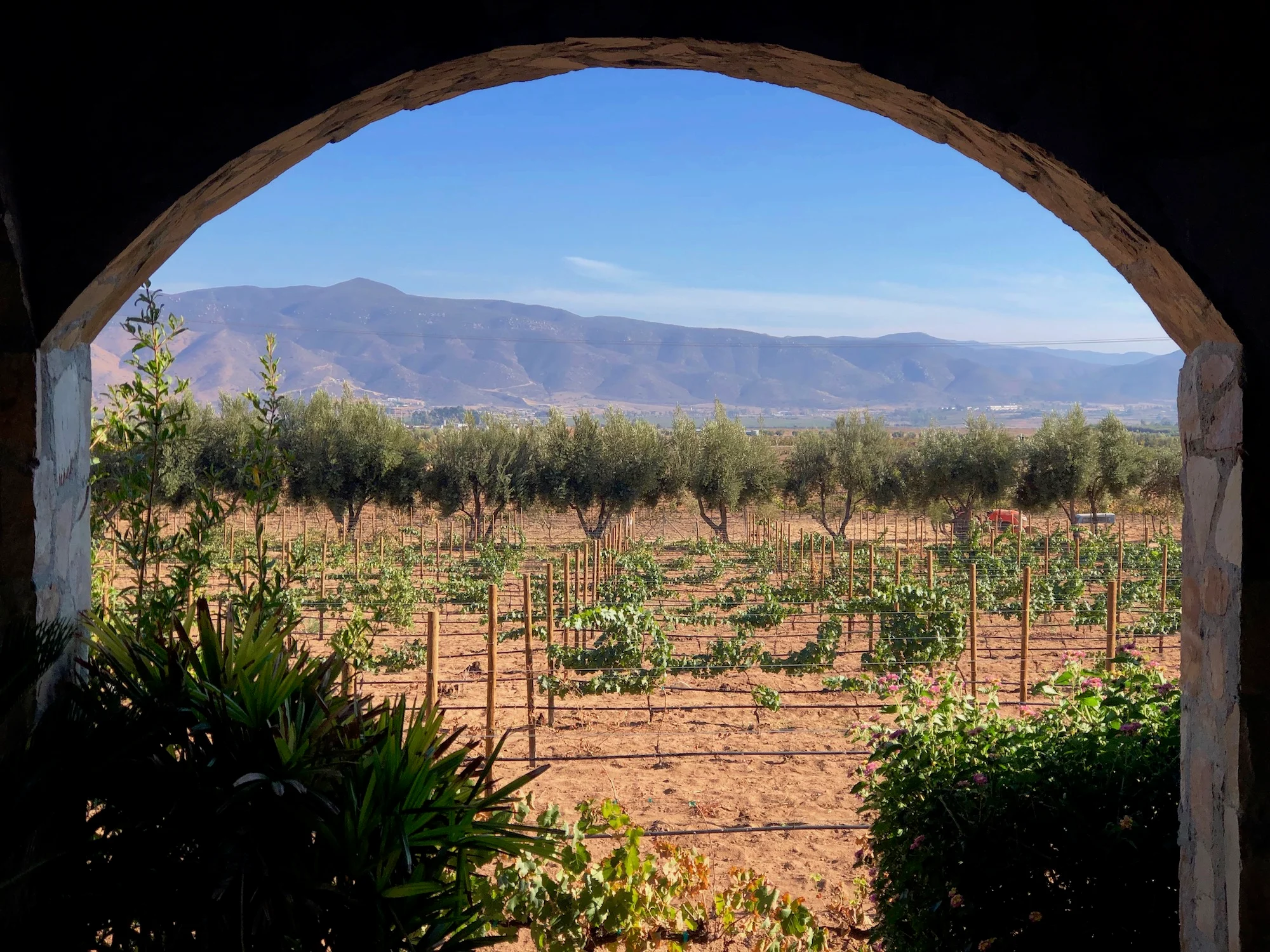 El Cielo Winery in Mexico, North America | Wineries - Rated 3.9