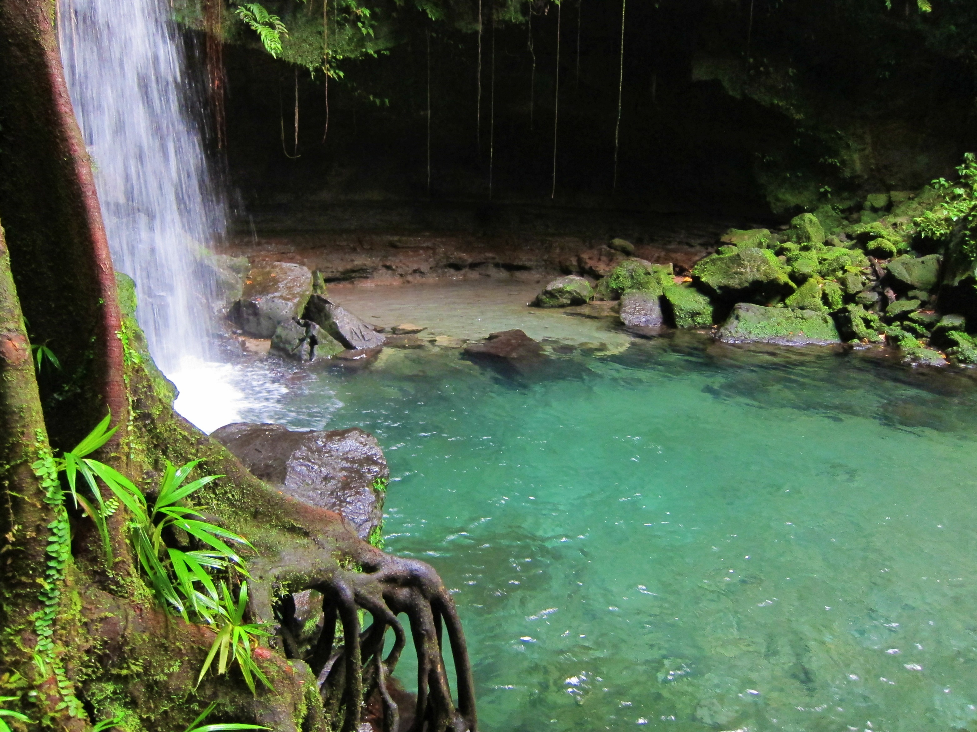 Emerald Pool in Dominica, Caribbean | Waterfalls,Swimming - Rated 3.8