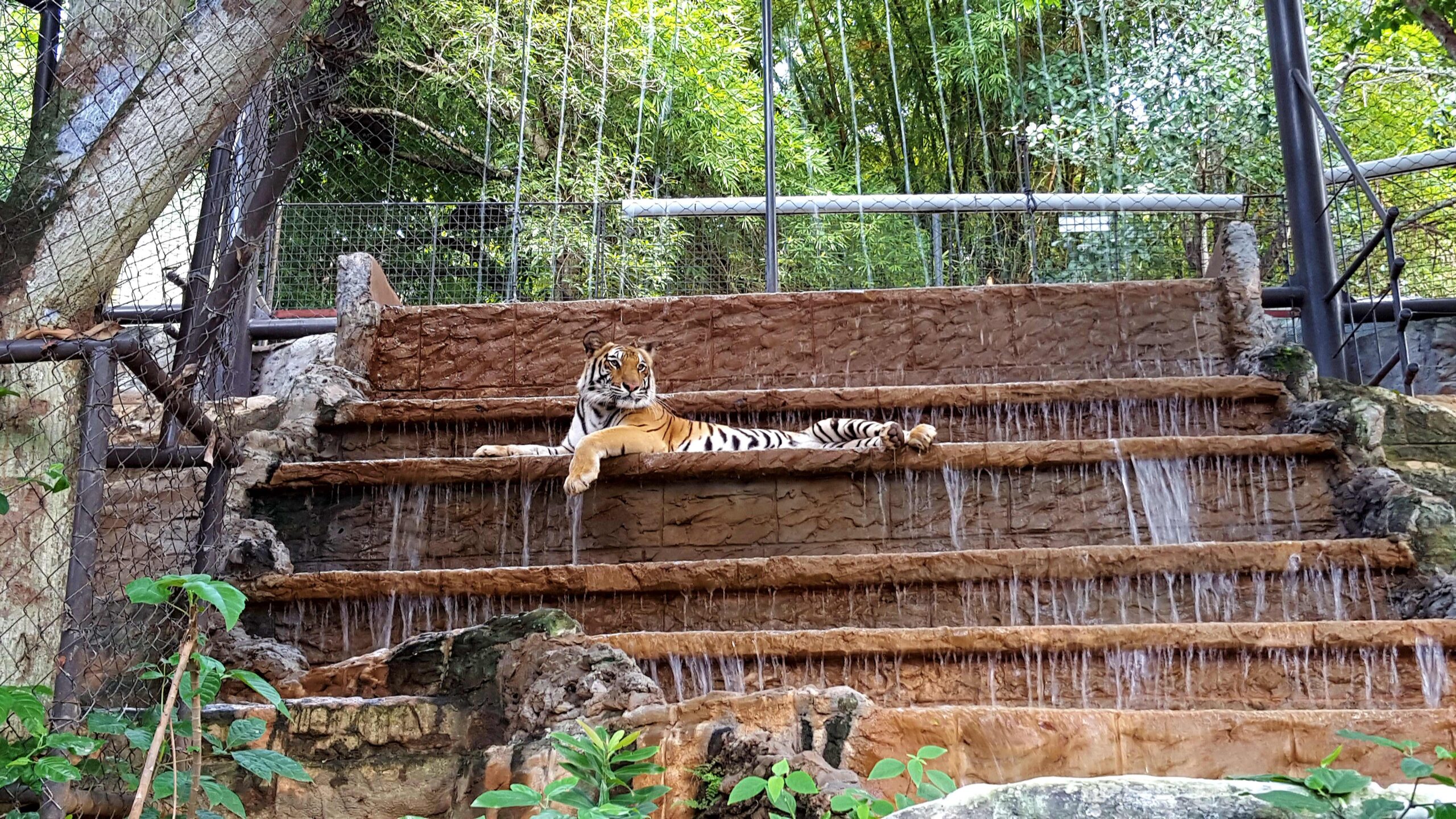 Emperor Valley Zoo in Trinidad and Tobago, Caribbean | Zoos & Sanctuaries - Rated 3.6