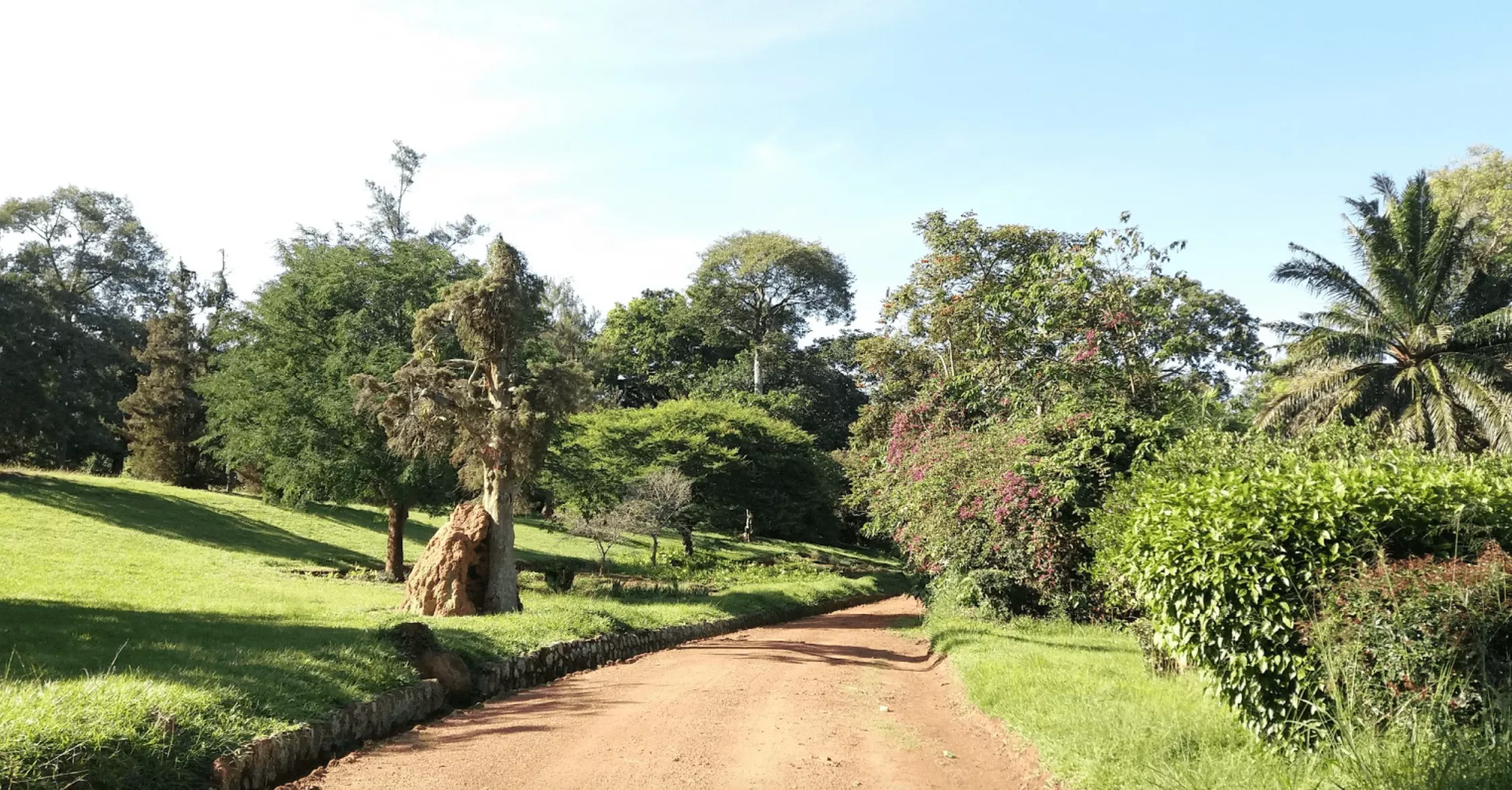 Botanical Gardens Entebbe in Uganda, Africa | Botanical Gardens - Rated 3.4