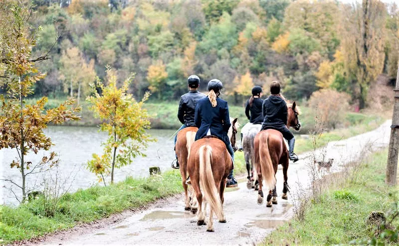 Equestrian Club Arandjelovac in Serbia, Europe | Horseback Riding - Rated 1