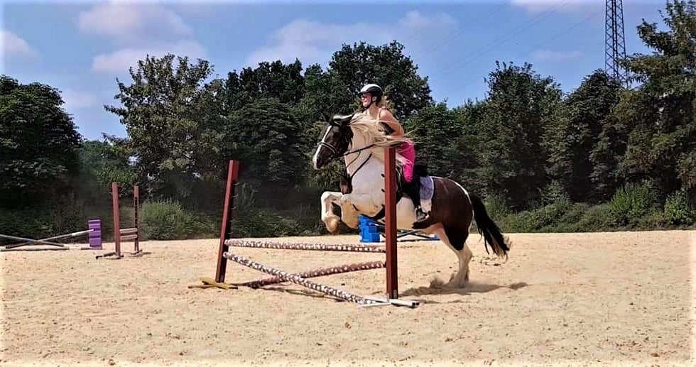 Equestrian Sports Club Balti, Balti, Moldova in Moldova, Europe | Horseback Riding - Rated 1.3