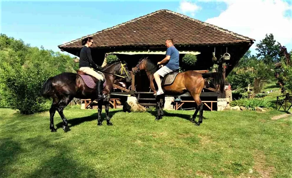 Equestrian club CEGAR in Serbia, Europe | Horseback Riding - Rated 4.7