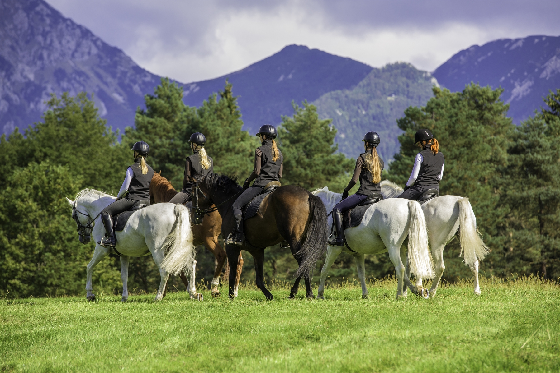 Equestrian recreation center Pegasos in Bosnia and Herzegovina, Europe | Horseback Riding - Rated 1