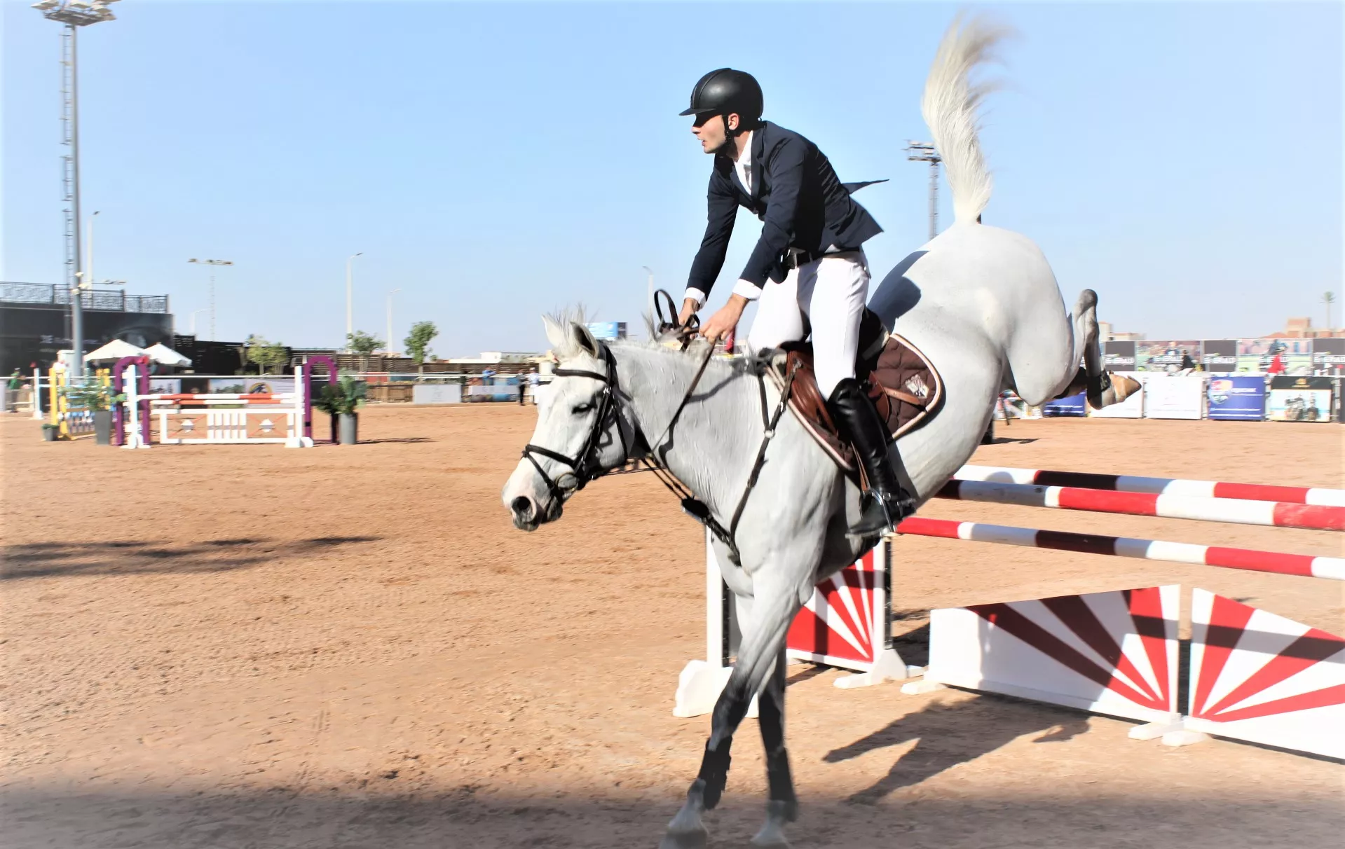 Equicare Riding Center in Egypt, Africa | Horseback Riding - Rated 0.9