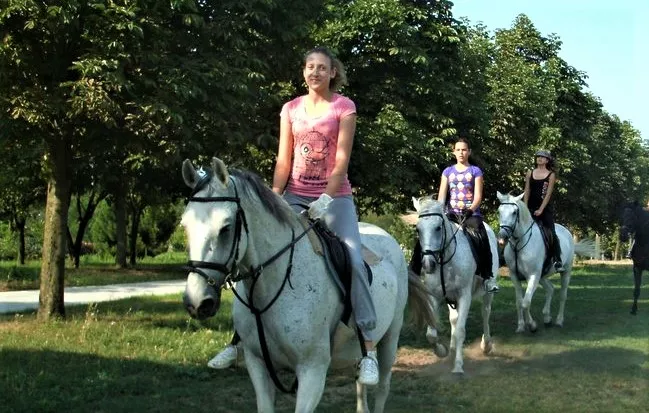 Ergela Kelebija in Serbia, Europe | Horseback Riding - Rated 6.1