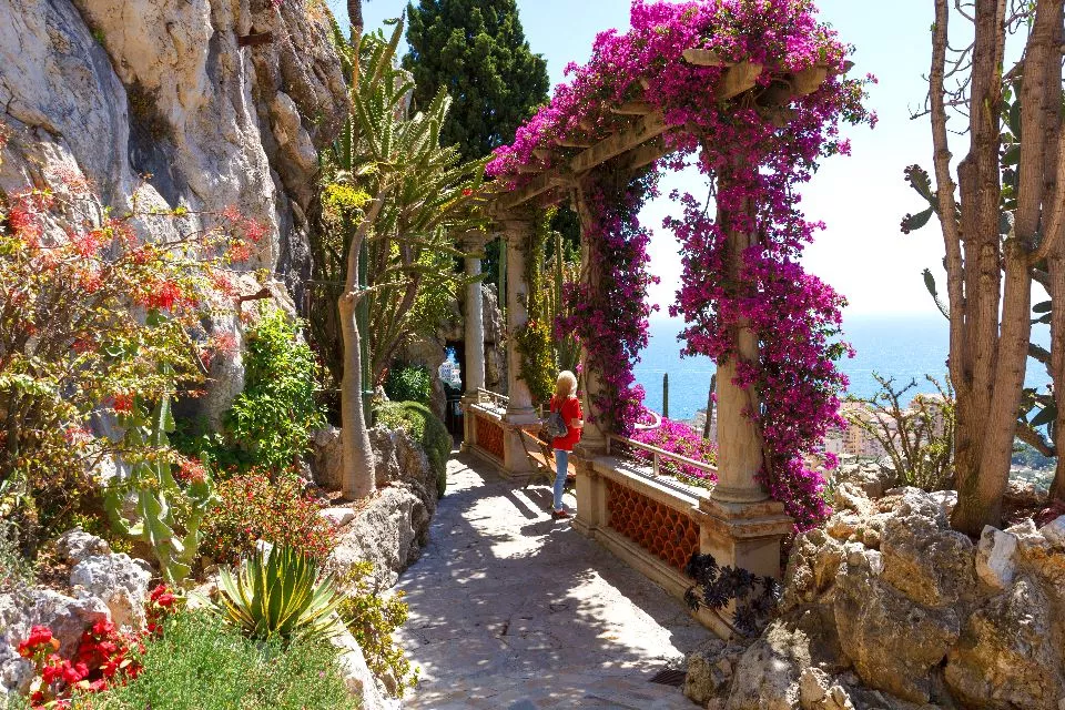 Exotic Garden of Monaco in Monaco, Europe | Gardens - Rated 3.9
