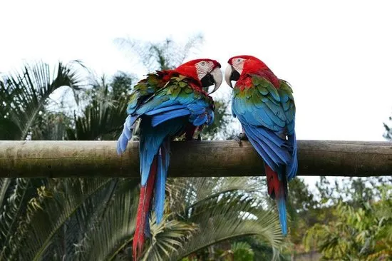 Expanzoo in Venezuela, South America | Zoos & Sanctuaries - Rated 3.7