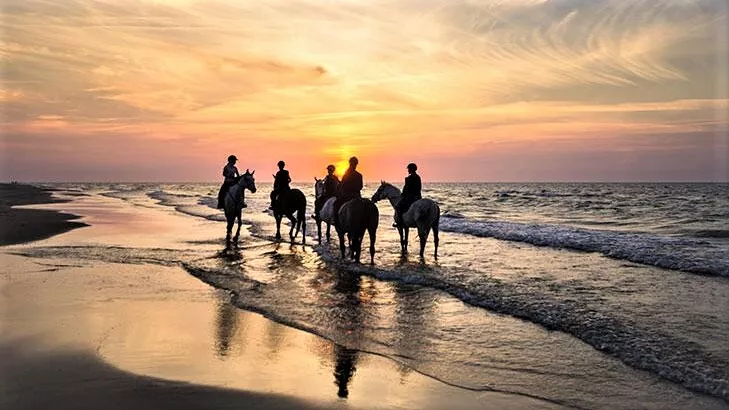Experience Horse Riding in Greece, Europe | Horseback Riding - Rated 1
