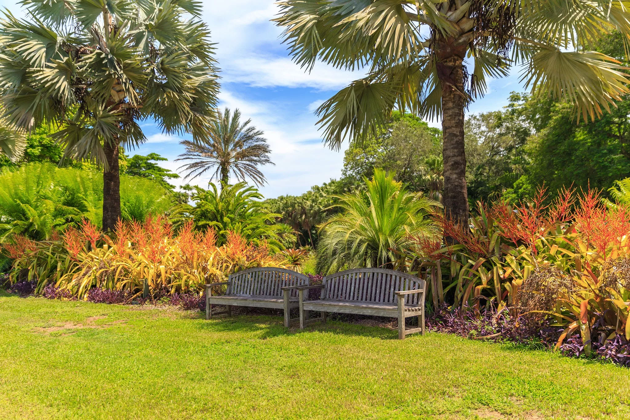 Fairchild Tropical Botanic Garden in USA, North America | Botanical Gardens - Rated 3.8