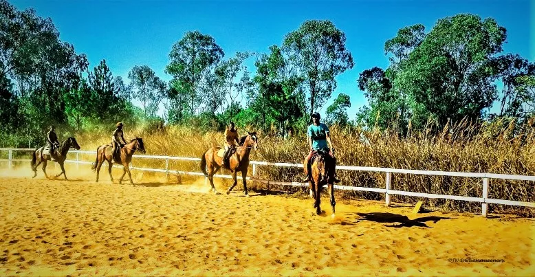 Faka Ranch in Madagascar, Africa | Horseback Riding - Rated 0.9