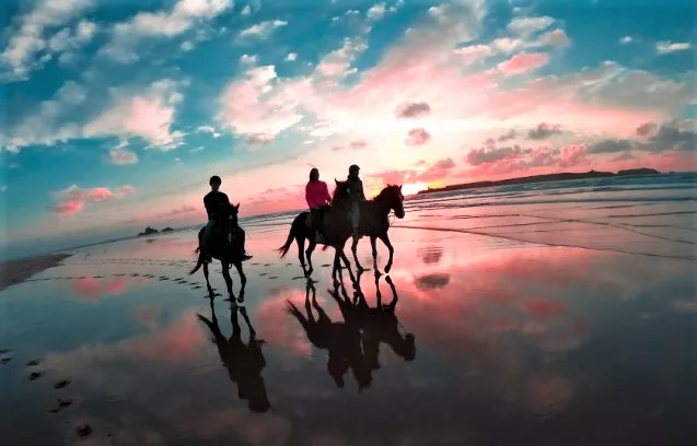 Family Adventure Essaouira in Morocco, Africa | Horseback Riding - Rated 1