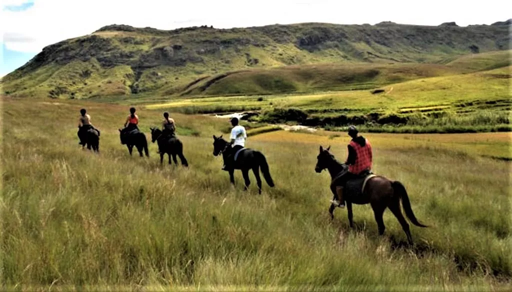 Ferme Equestre du Rova in Madagascar, Africa | Horseback Riding - Rated 0.9