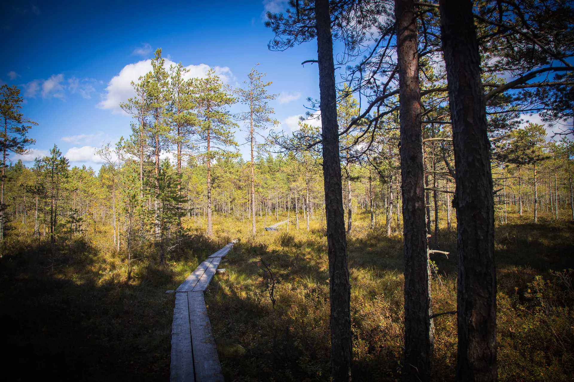 Sininen Polku in Finland, Europe | Trekking & Hiking - Rated 0.9