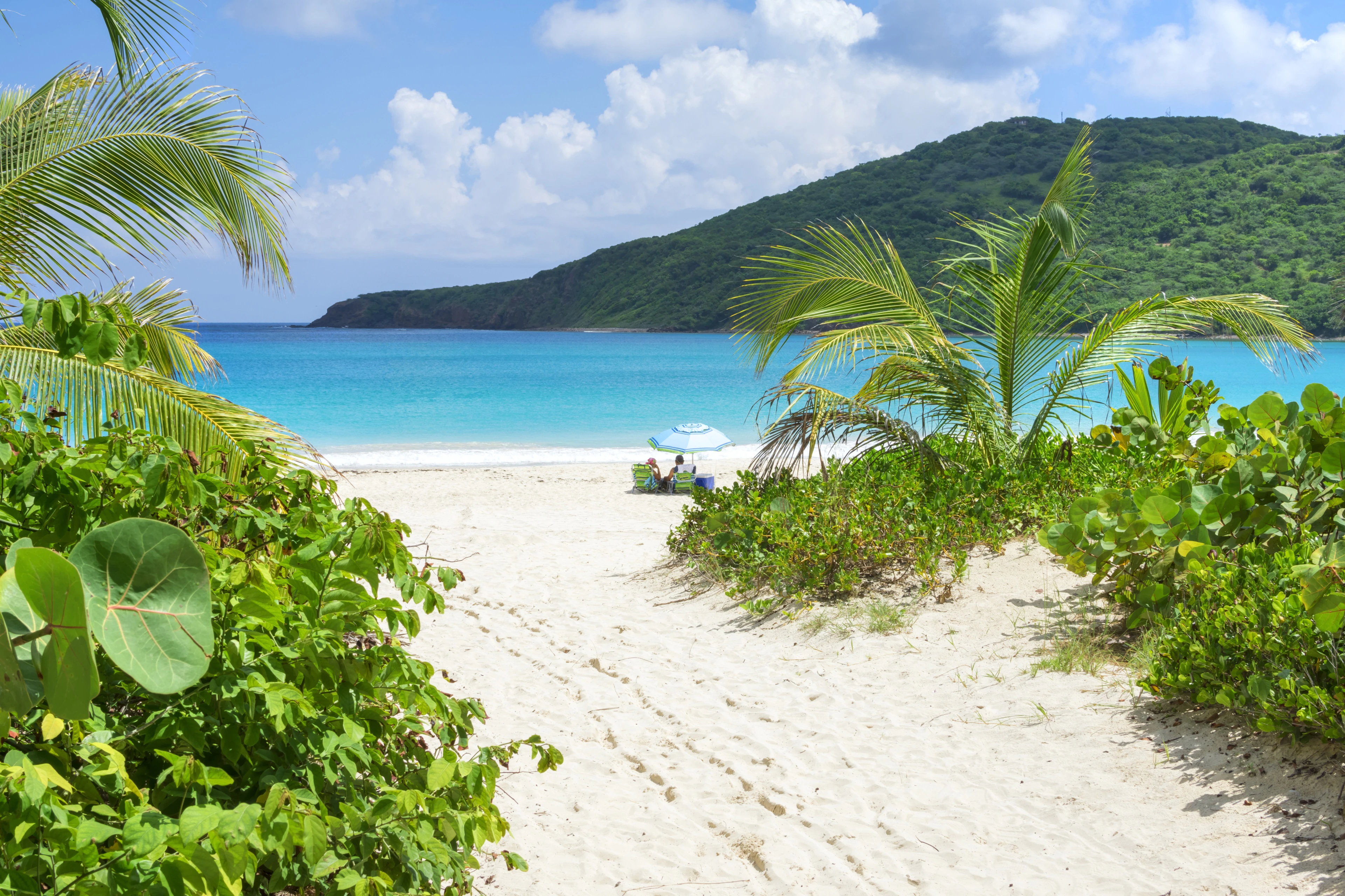 Flamenco Beach in Puerto Rico, Caribbean | Beaches,Snorkelling - Rated 6