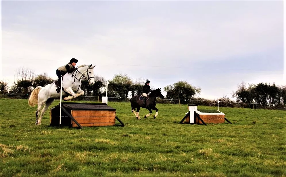 Flowerhill Equestrian Centre in Ireland, Europe | Horseback Riding - Rated 1.1