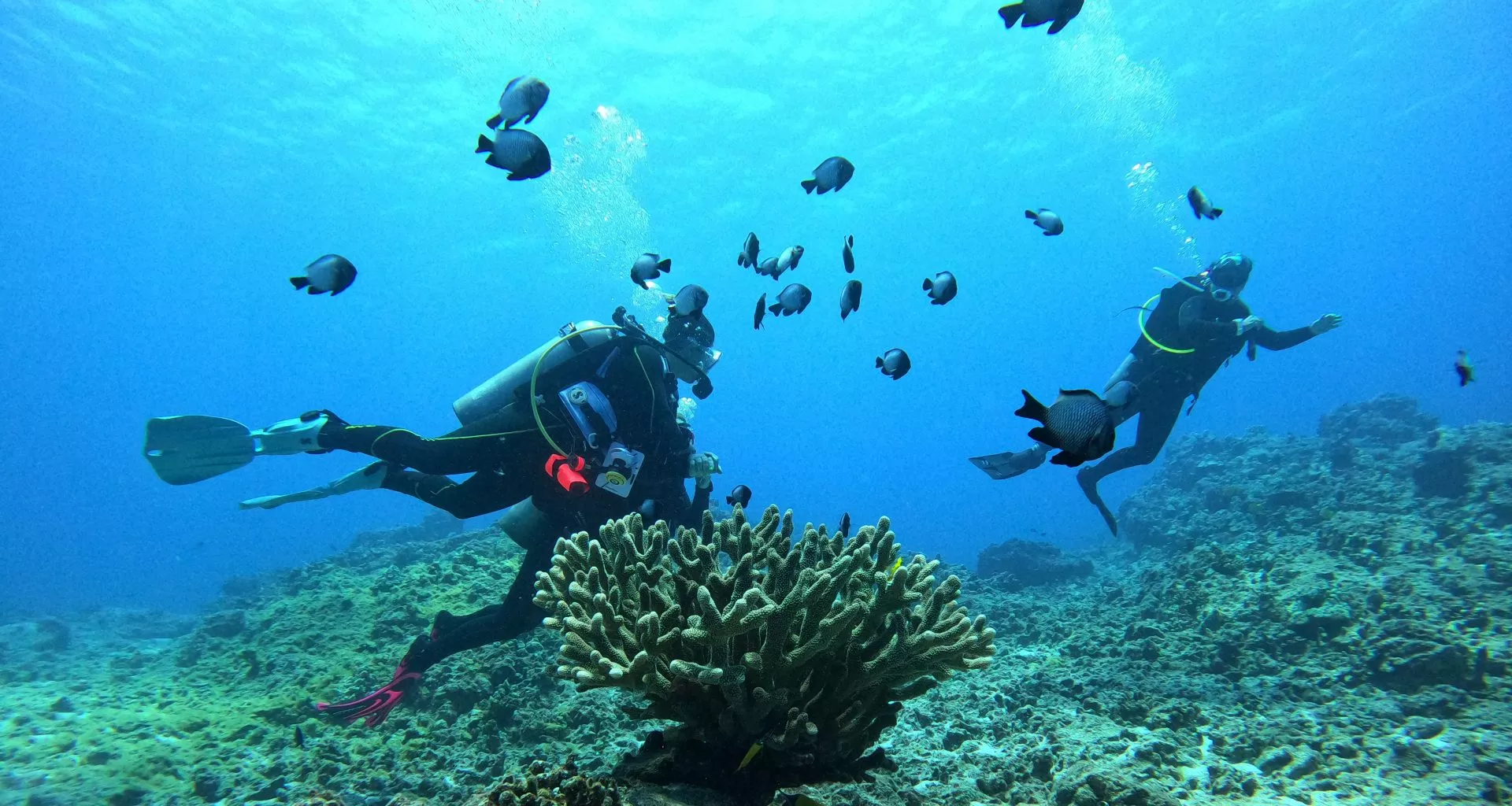 Scuba Diving In Miami in USA, North America | Scuba Diving - Rated 0.9