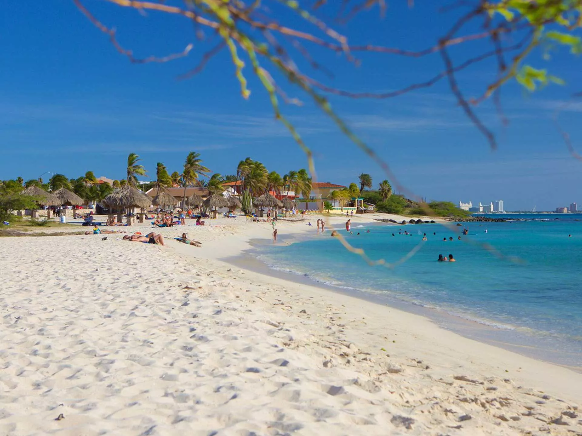 Arashi Beach in Aruba, Caribbean | Beaches - Rated 3.8
