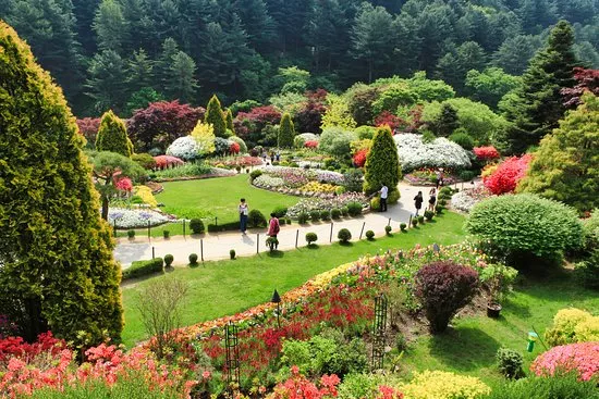 Garden of Morning Calm in South Korea, East Asia | Gardens - Rated 4.1