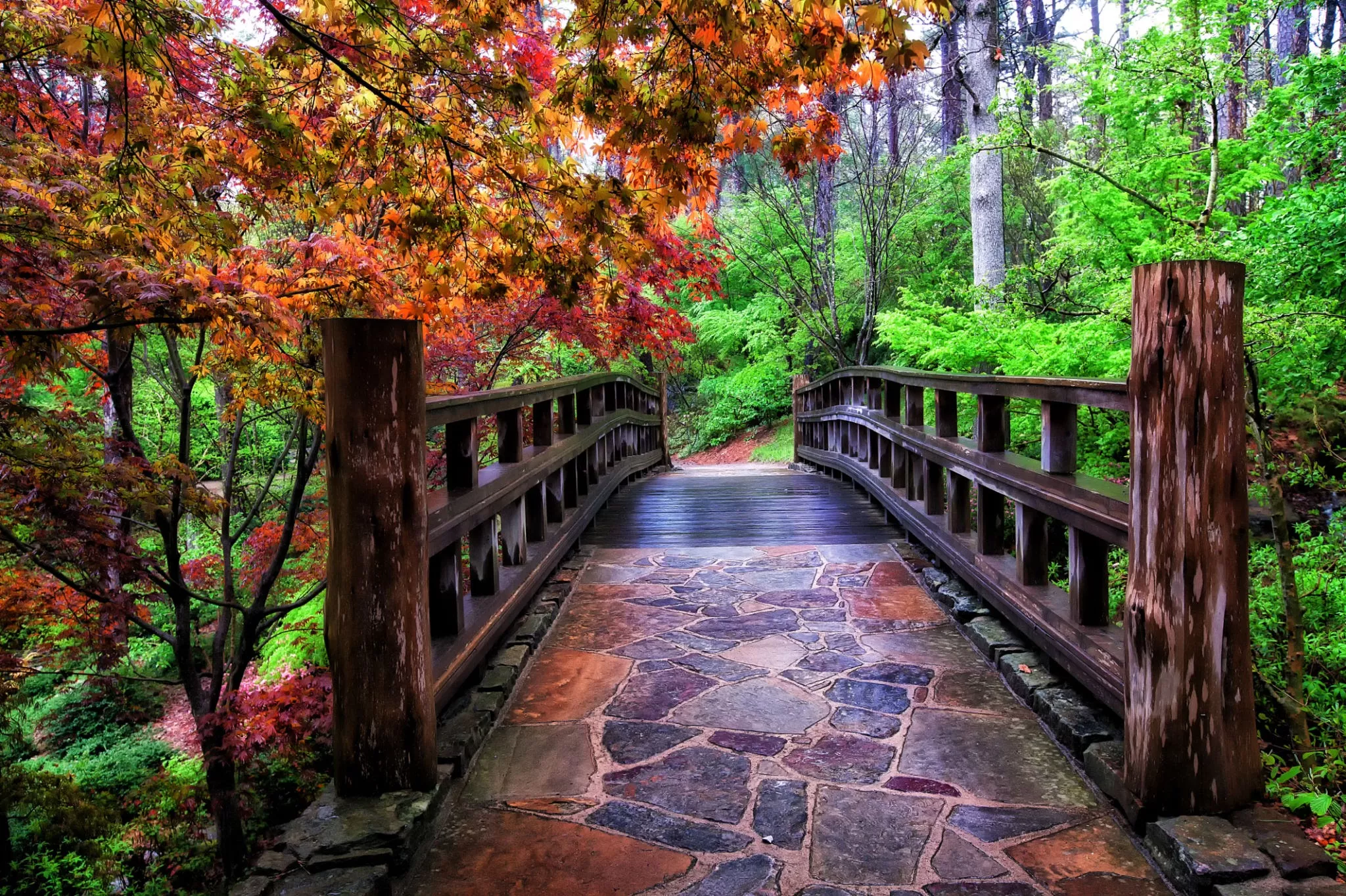 Garvan Woodland Gardens in USA, North America | Botanical Gardens - Rated 4.1