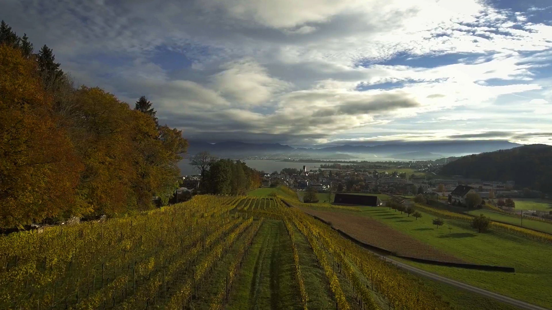 Oleowine Art in Switzerland, Europe | Wineries - Rated 0.8