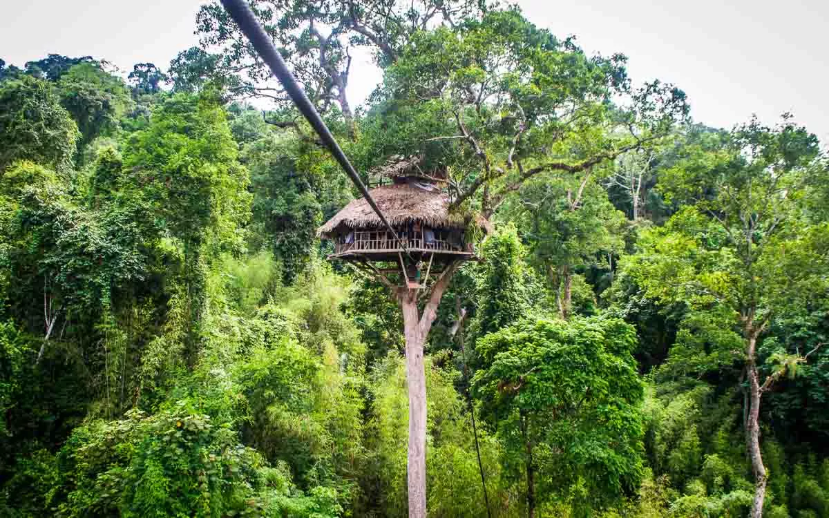 Gibbon Experience Office in Laos, East Asia | Zip Lines - Rated 3.8