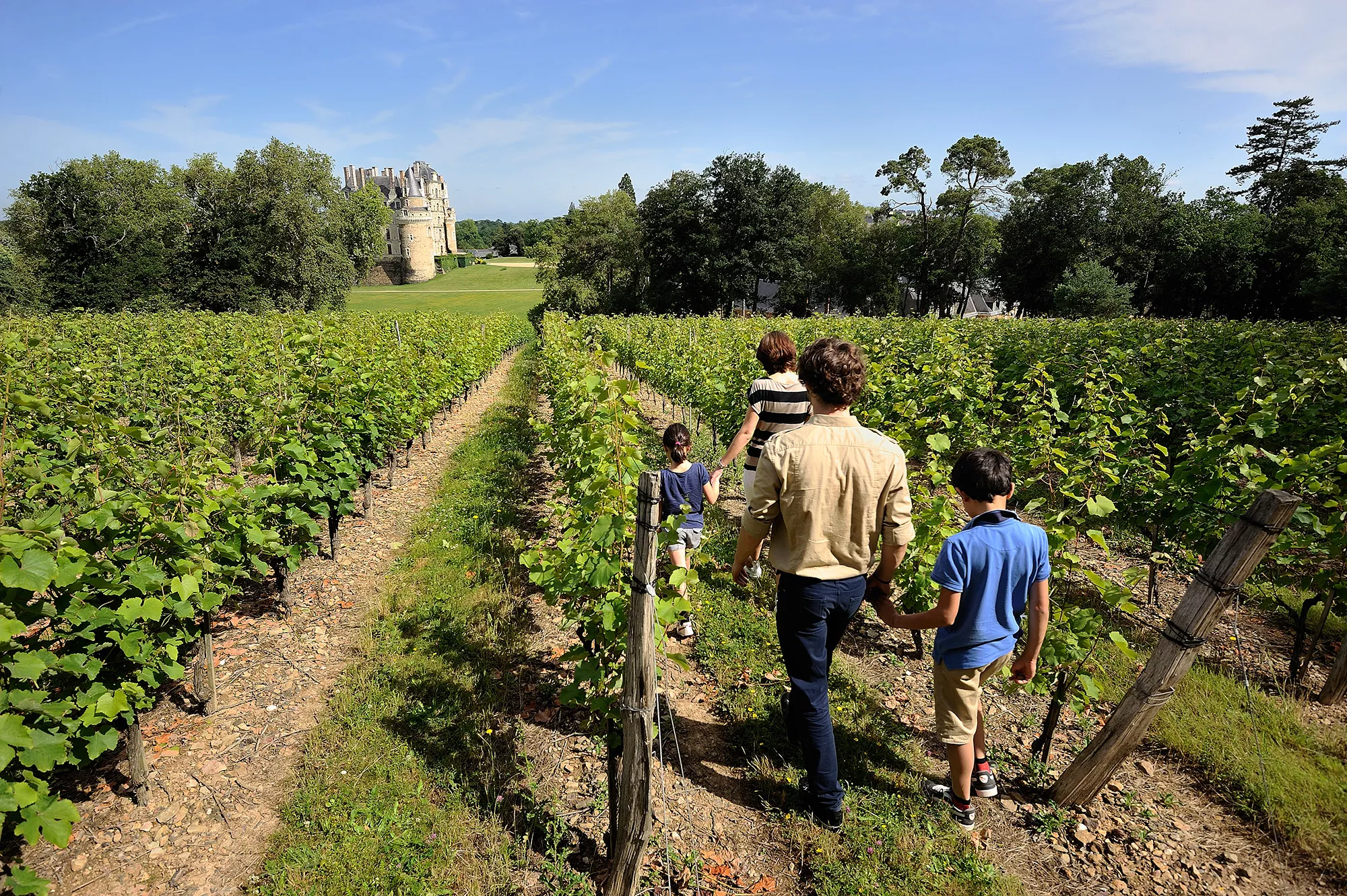 Domaine de la Croix in France, Europe | Wineries - Rated 0.7