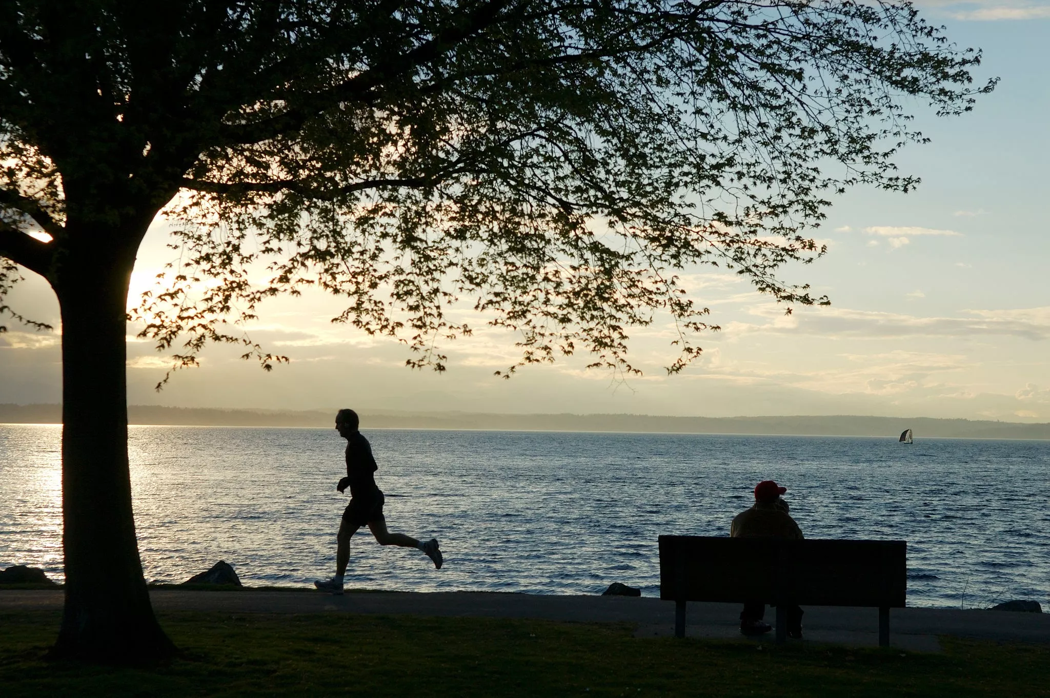 Golden Gardens Park in USA, North America | Parks - Rated 4