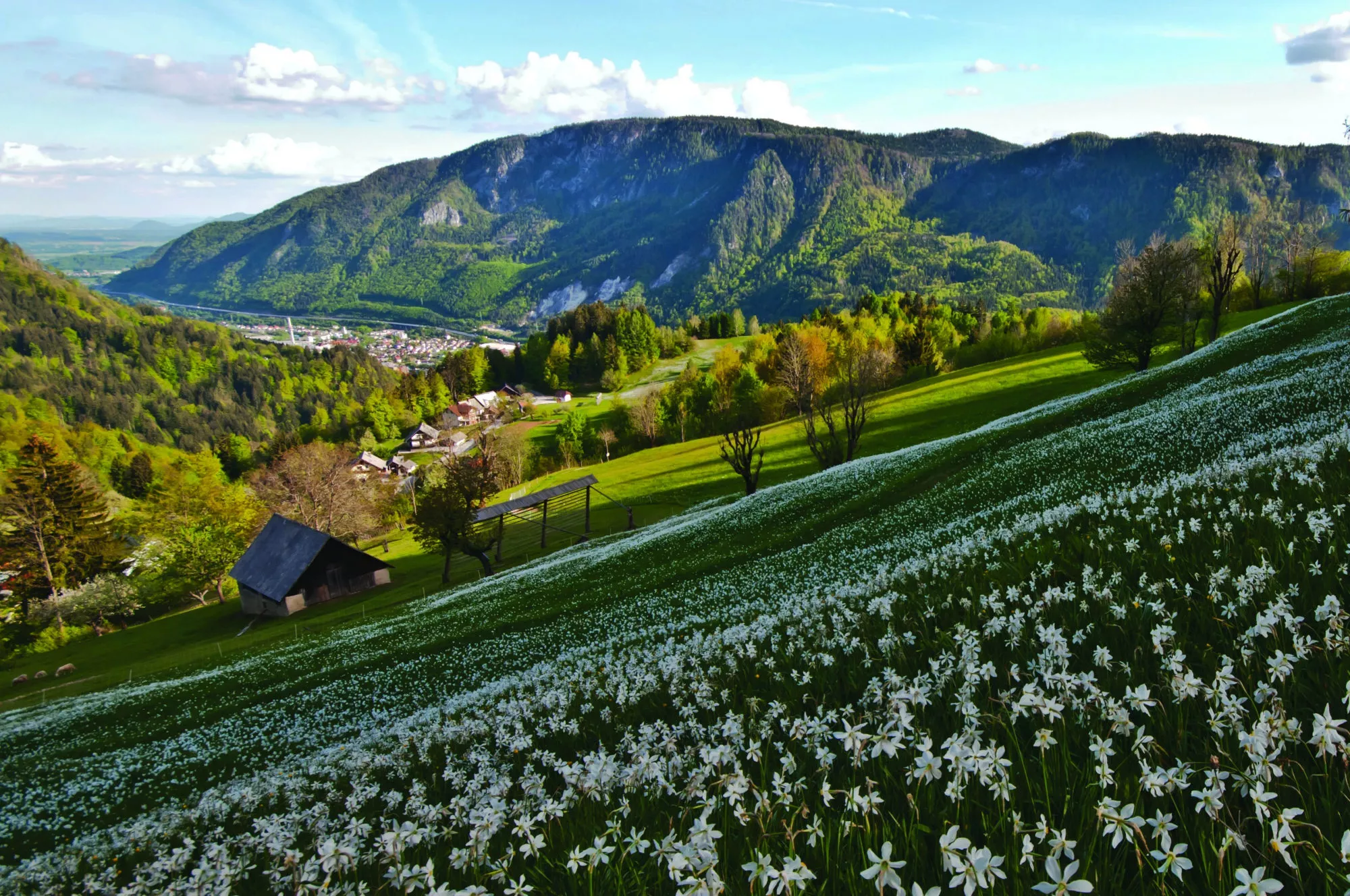Golica in Slovenia, Europe | Trekking & Hiking - Rated 0.9