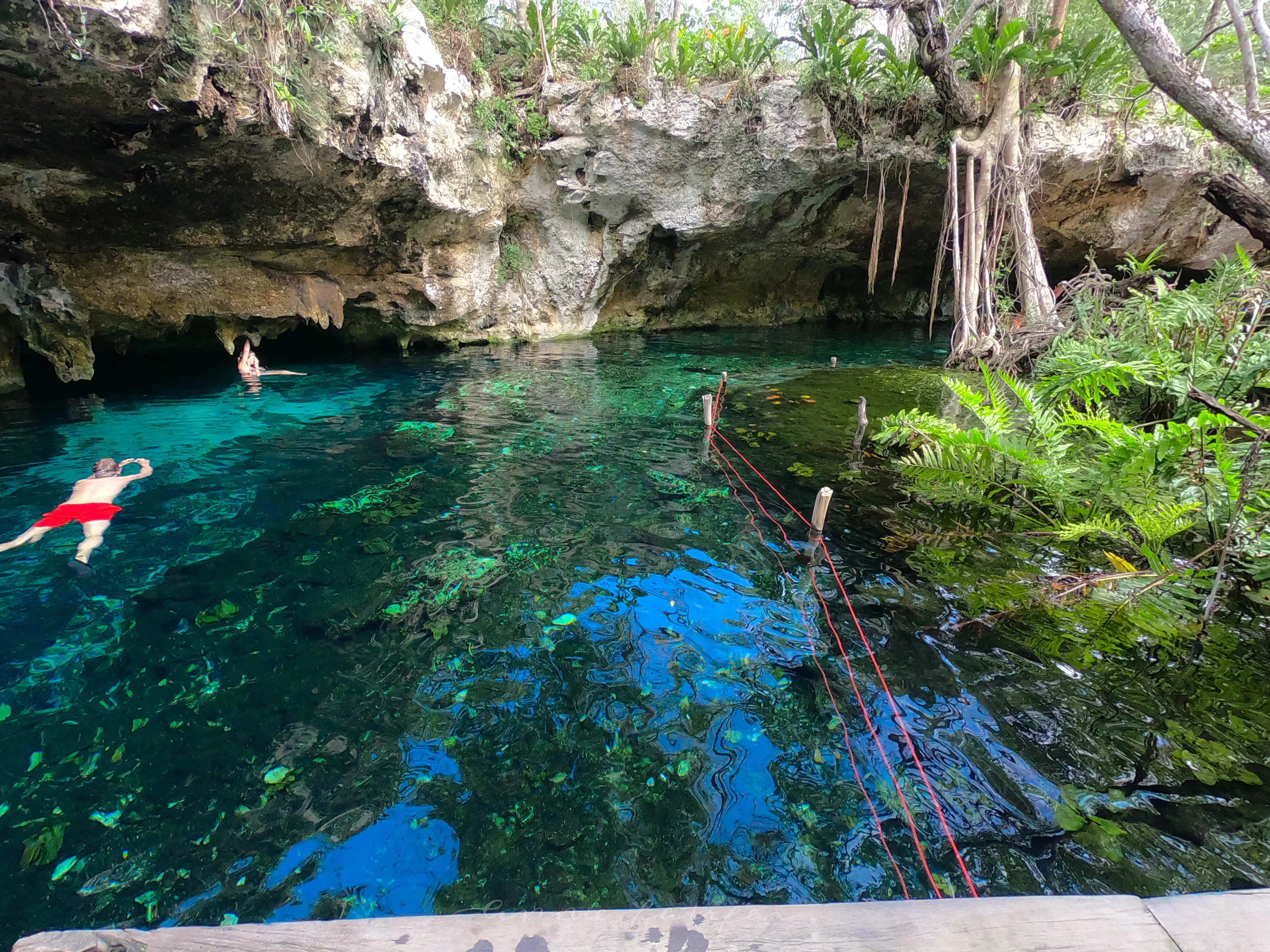 Gran Cenote in Mexico, North America | Nature Reserves,Swimming - Rated 4.6