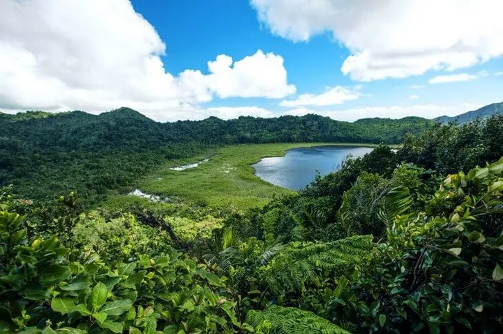 Grand Ethan National Park in Grenada, Caribbean | Parks - Rated 3.5
