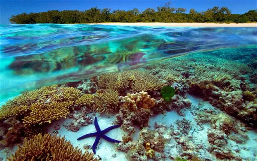 Great Barrier Reef in Australia, Australia and Oceania | Nature Reserves - Rated 10