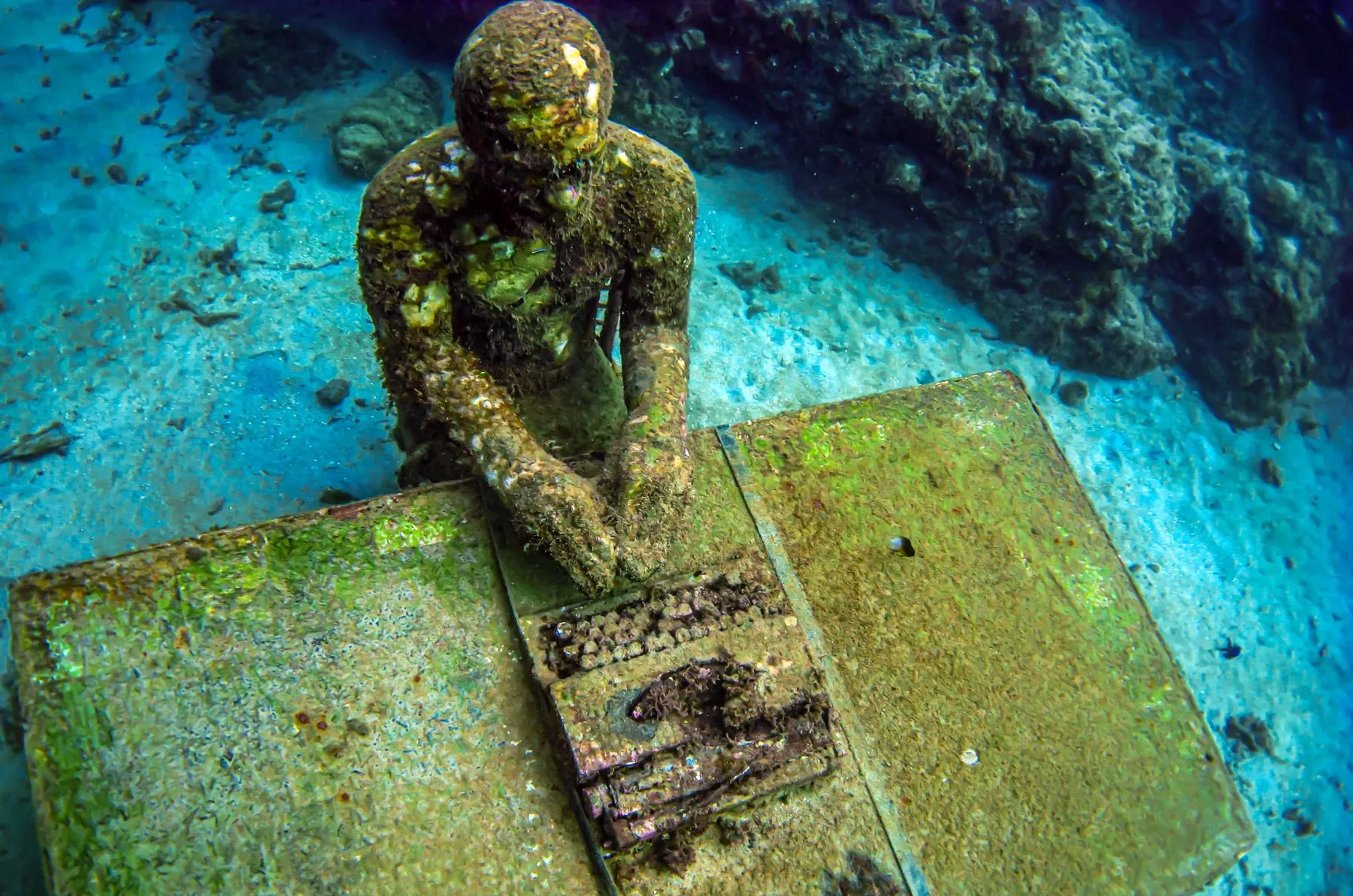 Grenada Underwater Sculpture Park in Grenada, Caribbean | Museums,Diving - Rated 4.1