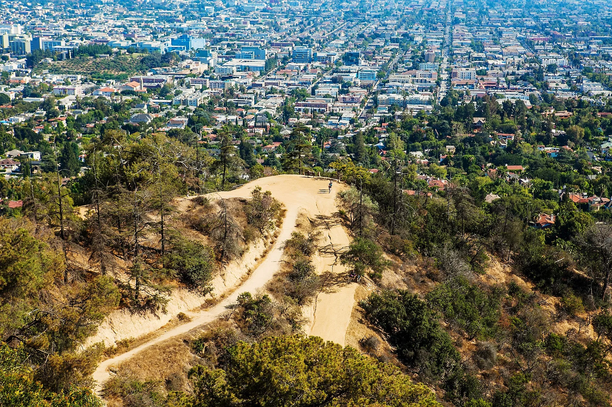 Griffith Park in USA, North America | Parks - Rated 5.1