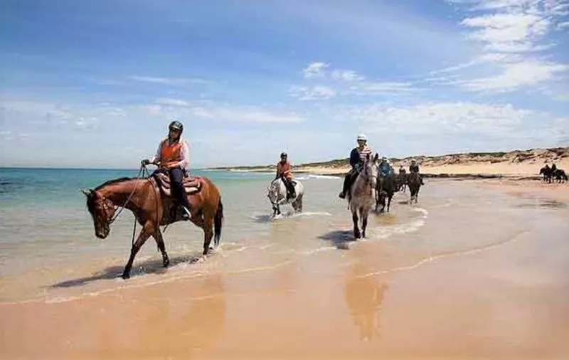 Gunnamatta Trail Rides in Australia, Australia and Oceania | Horseback Riding - Rated 4.1