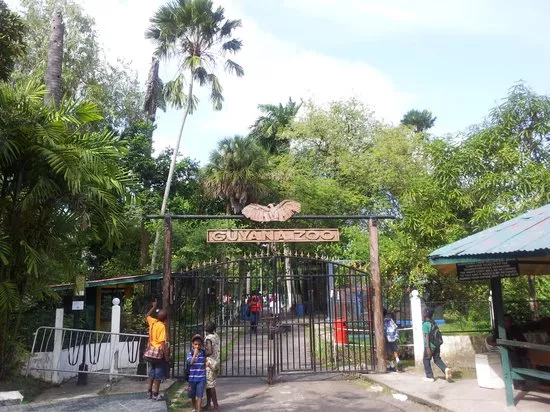 Guyana Zoological Park in Guyana, South America | Zoos & Sanctuaries - Rated 0.7