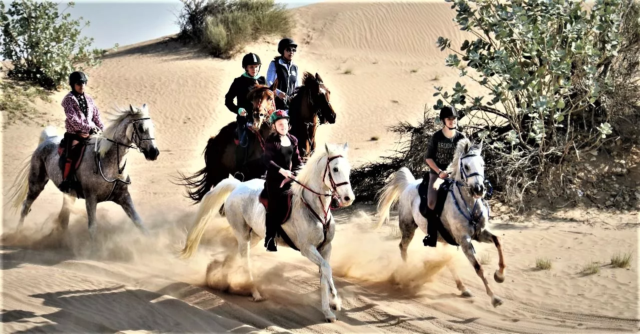Happy Dunes Stables in United Arab Emirates, Middle East | Horseback Riding - Rated 1